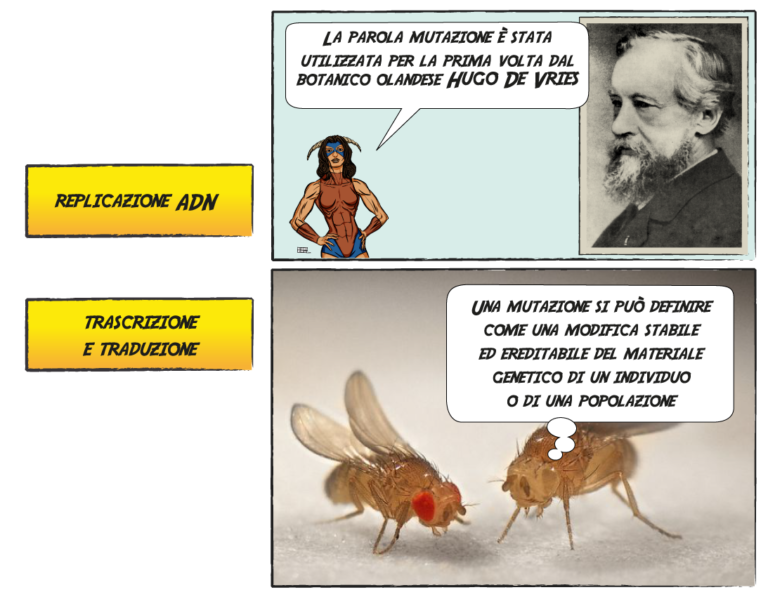 Il-gene-X 93