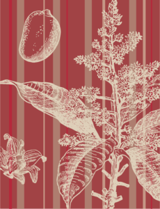 fiore grafici