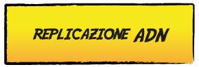 replicazione